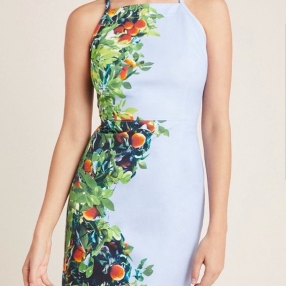 Anthropologie Maeve Orange Grove Dress Size 8P Sheath Fitted Spandex Midi Style - Picture 2 of 10